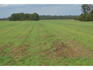 Property photo 96 - LAND AUCTION - 578+/- ACRES OFFERED IN 22 TRACTS IN DEFIANCE COUNTY, OHIO & DEKALB COUNTY, INDIANA