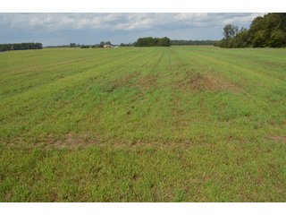 Property photo 97 - LAND AUCTION - 578+/- ACRES OFFERED IN 22 TRACTS IN DEFIANCE COUNTY, OHIO & DEKALB COUNTY, INDIANA