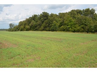 Property photo 98 - LAND AUCTION - 578+/- ACRES OFFERED IN 22 TRACTS IN DEFIANCE COUNTY, OHIO & DEKALB COUNTY, INDIANA