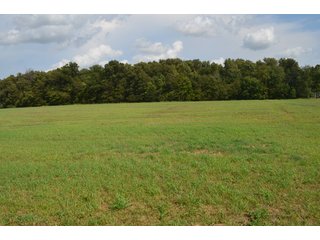 Property photo 99 - LAND AUCTION - 578+/- ACRES OFFERED IN 22 TRACTS IN DEFIANCE COUNTY, OHIO & DEKALB COUNTY, INDIANA