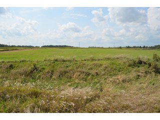 Property photo 100 - LAND AUCTION - 578+/- ACRES OFFERED IN 22 TRACTS IN DEFIANCE COUNTY, OHIO & DEKALB COUNTY, INDIANA