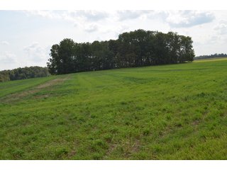 Property photo 101 - LAND AUCTION - 578+/- ACRES OFFERED IN 22 TRACTS IN DEFIANCE COUNTY, OHIO & DEKALB COUNTY, INDIANA