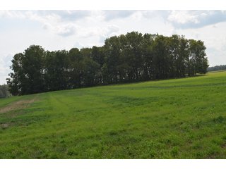 Property photo 102 - LAND AUCTION - 578+/- ACRES OFFERED IN 22 TRACTS IN DEFIANCE COUNTY, OHIO & DEKALB COUNTY, INDIANA