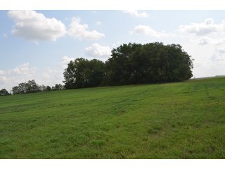 Property photo 103 - LAND AUCTION - 578+/- ACRES OFFERED IN 22 TRACTS IN DEFIANCE COUNTY, OHIO & DEKALB COUNTY, INDIANA