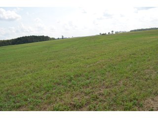 Property photo 104 - LAND AUCTION - 578+/- ACRES OFFERED IN 22 TRACTS IN DEFIANCE COUNTY, OHIO & DEKALB COUNTY, INDIANA