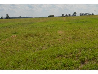 Property photo 106 - LAND AUCTION - 578+/- ACRES OFFERED IN 22 TRACTS IN DEFIANCE COUNTY, OHIO & DEKALB COUNTY, INDIANA