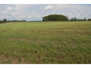 Property photo 107 - LAND AUCTION - 578+/- ACRES OFFERED IN 22 TRACTS IN DEFIANCE COUNTY, OHIO & DEKALB COUNTY, INDIANA