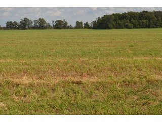 Property photo 108 - LAND AUCTION - 578+/- ACRES OFFERED IN 22 TRACTS IN DEFIANCE COUNTY, OHIO & DEKALB COUNTY, INDIANA
