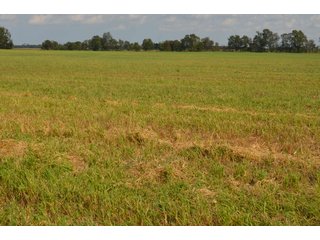 Property photo 109 - LAND AUCTION - 578+/- ACRES OFFERED IN 22 TRACTS IN DEFIANCE COUNTY, OHIO & DEKALB COUNTY, INDIANA