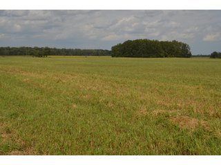 Property photo 110 - LAND AUCTION - 578+/- ACRES OFFERED IN 22 TRACTS IN DEFIANCE COUNTY, OHIO & DEKALB COUNTY, INDIANA
