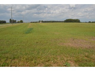 Property photo 111 - LAND AUCTION - 578+/- ACRES OFFERED IN 22 TRACTS IN DEFIANCE COUNTY, OHIO & DEKALB COUNTY, INDIANA