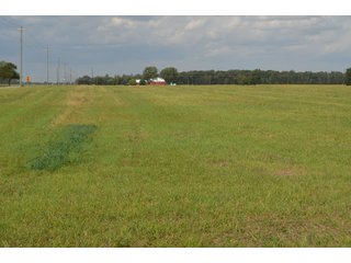 Property photo 112 - LAND AUCTION - 578+/- ACRES OFFERED IN 22 TRACTS IN DEFIANCE COUNTY, OHIO & DEKALB COUNTY, INDIANA