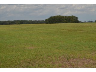Property photo 113 - LAND AUCTION - 578+/- ACRES OFFERED IN 22 TRACTS IN DEFIANCE COUNTY, OHIO & DEKALB COUNTY, INDIANA