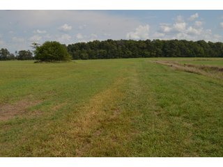 Property photo 114 - LAND AUCTION - 578+/- ACRES OFFERED IN 22 TRACTS IN DEFIANCE COUNTY, OHIO & DEKALB COUNTY, INDIANA