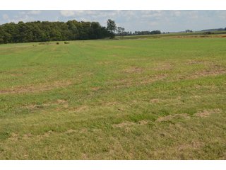 Property photo 119 - LAND AUCTION - 578+/- ACRES OFFERED IN 22 TRACTS IN DEFIANCE COUNTY, OHIO & DEKALB COUNTY, INDIANA