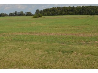 Property photo 120 - LAND AUCTION - 578+/- ACRES OFFERED IN 22 TRACTS IN DEFIANCE COUNTY, OHIO & DEKALB COUNTY, INDIANA