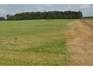 Property photo 121 - LAND AUCTION - 578+/- ACRES OFFERED IN 22 TRACTS IN DEFIANCE COUNTY, OHIO & DEKALB COUNTY, INDIANA