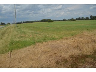 Property photo 123 - LAND AUCTION - 578+/- ACRES OFFERED IN 22 TRACTS IN DEFIANCE COUNTY, OHIO & DEKALB COUNTY, INDIANA