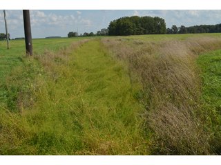 Property photo 131 - LAND AUCTION - 578+/- ACRES OFFERED IN 22 TRACTS IN DEFIANCE COUNTY, OHIO & DEKALB COUNTY, INDIANA