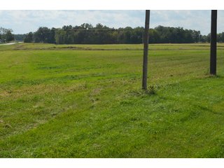 Property photo 135 - LAND AUCTION - 578+/- ACRES OFFERED IN 22 TRACTS IN DEFIANCE COUNTY, OHIO & DEKALB COUNTY, INDIANA