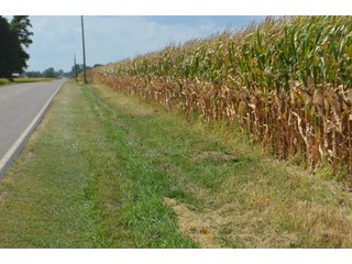 Property photo 137 - LAND AUCTION - 578+/- ACRES OFFERED IN 22 TRACTS IN DEFIANCE COUNTY, OHIO & DEKALB COUNTY, INDIANA