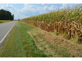 Property photo 138 - LAND AUCTION - 578+/- ACRES OFFERED IN 22 TRACTS IN DEFIANCE COUNTY, OHIO & DEKALB COUNTY, INDIANA