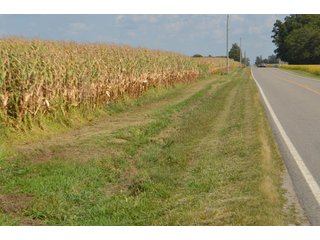 Property photo 143 - LAND AUCTION - 578+/- ACRES OFFERED IN 22 TRACTS IN DEFIANCE COUNTY, OHIO & DEKALB COUNTY, INDIANA