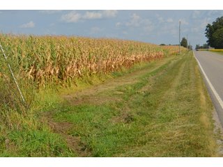Property photo 144 - LAND AUCTION - 578+/- ACRES OFFERED IN 22 TRACTS IN DEFIANCE COUNTY, OHIO & DEKALB COUNTY, INDIANA