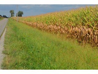 Property photo 146 - LAND AUCTION - 578+/- ACRES OFFERED IN 22 TRACTS IN DEFIANCE COUNTY, OHIO & DEKALB COUNTY, INDIANA