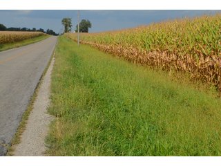 Property photo 147 - LAND AUCTION - 578+/- ACRES OFFERED IN 22 TRACTS IN DEFIANCE COUNTY, OHIO & DEKALB COUNTY, INDIANA