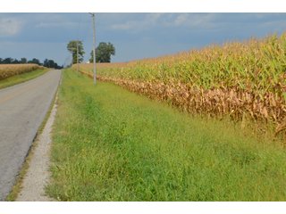 Property photo 148 - LAND AUCTION - 578+/- ACRES OFFERED IN 22 TRACTS IN DEFIANCE COUNTY, OHIO & DEKALB COUNTY, INDIANA