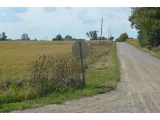 Property photo 150 - LAND AUCTION - 578+/- ACRES OFFERED IN 22 TRACTS IN DEFIANCE COUNTY, OHIO & DEKALB COUNTY, INDIANA