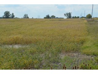 Property photo 151 - LAND AUCTION - 578+/- ACRES OFFERED IN 22 TRACTS IN DEFIANCE COUNTY, OHIO & DEKALB COUNTY, INDIANA