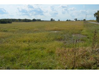 Property photo 152 - LAND AUCTION - 578+/- ACRES OFFERED IN 22 TRACTS IN DEFIANCE COUNTY, OHIO & DEKALB COUNTY, INDIANA
