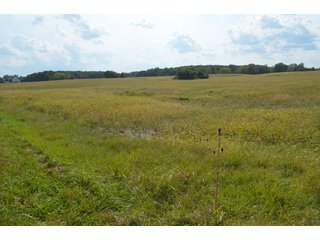 Property photo 153 - LAND AUCTION - 578+/- ACRES OFFERED IN 22 TRACTS IN DEFIANCE COUNTY, OHIO & DEKALB COUNTY, INDIANA