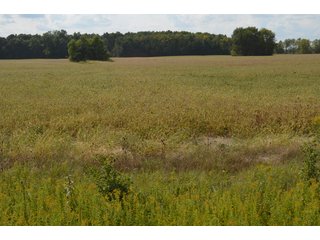Property photo 158 - LAND AUCTION - 578+/- ACRES OFFERED IN 22 TRACTS IN DEFIANCE COUNTY, OHIO & DEKALB COUNTY, INDIANA