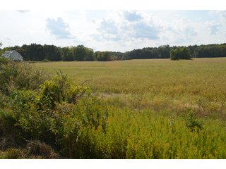 Property photo 159 - LAND AUCTION - 578+/- ACRES OFFERED IN 22 TRACTS IN DEFIANCE COUNTY, OHIO & DEKALB COUNTY, INDIANA