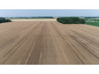 Property photo 10 - LAND AUCTION - 578+/- ACRES OFFERED IN 22 TRACTS IN DEFIANCE COUNTY, OHIO & DEKALB COUNTY, INDIANA