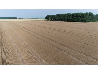 Property photo 11 - LAND AUCTION - 578+/- ACRES OFFERED IN 22 TRACTS IN DEFIANCE COUNTY, OHIO & DEKALB COUNTY, INDIANA