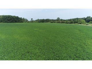 Property photo 16 - LAND AUCTION - 578+/- ACRES OFFERED IN 22 TRACTS IN DEFIANCE COUNTY, OHIO & DEKALB COUNTY, INDIANA