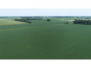 Property photo 18 - LAND AUCTION - 578+/- ACRES OFFERED IN 22 TRACTS IN DEFIANCE COUNTY, OHIO & DEKALB COUNTY, INDIANA