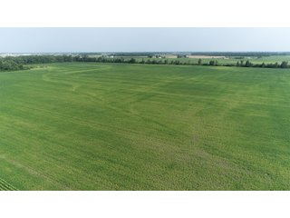 Property photo 2 - LAND AUCTION - 578+/- ACRES OFFERED IN 22 TRACTS IN DEFIANCE COUNTY, OHIO & DEKALB COUNTY, INDIANA