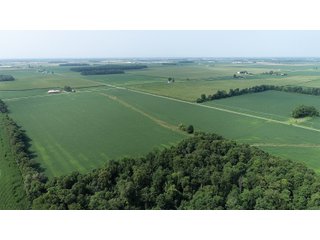 Property photo 20 - LAND AUCTION - 578+/- ACRES OFFERED IN 22 TRACTS IN DEFIANCE COUNTY, OHIO & DEKALB COUNTY, INDIANA