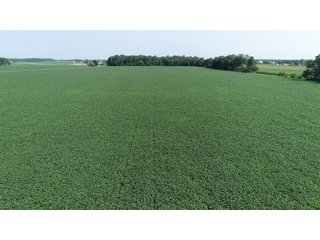 Property photo 21 - LAND AUCTION - 578+/- ACRES OFFERED IN 22 TRACTS IN DEFIANCE COUNTY, OHIO & DEKALB COUNTY, INDIANA