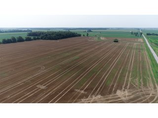 Property photo 26 - LAND AUCTION - 578+/- ACRES OFFERED IN 22 TRACTS IN DEFIANCE COUNTY, OHIO & DEKALB COUNTY, INDIANA