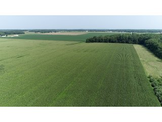 Property photo 28 - LAND AUCTION - 578+/- ACRES OFFERED IN 22 TRACTS IN DEFIANCE COUNTY, OHIO & DEKALB COUNTY, INDIANA
