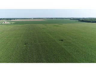Property photo 29 - LAND AUCTION - 578+/- ACRES OFFERED IN 22 TRACTS IN DEFIANCE COUNTY, OHIO & DEKALB COUNTY, INDIANA