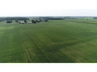 Property photo 3 - LAND AUCTION - 578+/- ACRES OFFERED IN 22 TRACTS IN DEFIANCE COUNTY, OHIO & DEKALB COUNTY, INDIANA