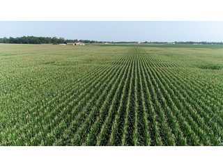 Property photo 30 - LAND AUCTION - 578+/- ACRES OFFERED IN 22 TRACTS IN DEFIANCE COUNTY, OHIO & DEKALB COUNTY, INDIANA