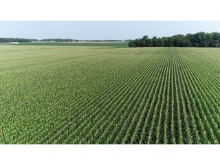 Property photo 32 - LAND AUCTION - 578+/- ACRES OFFERED IN 22 TRACTS IN DEFIANCE COUNTY, OHIO & DEKALB COUNTY, INDIANA